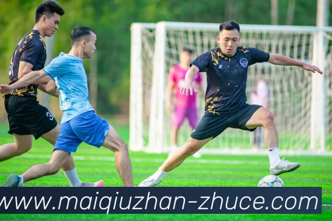 买球站注册平台生态图